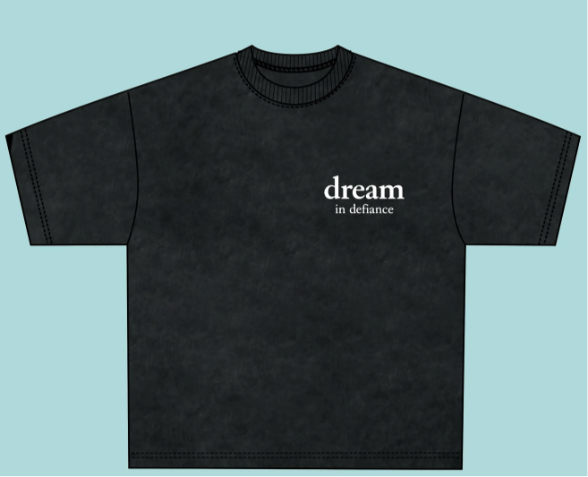 Dream premium heavyweight tee